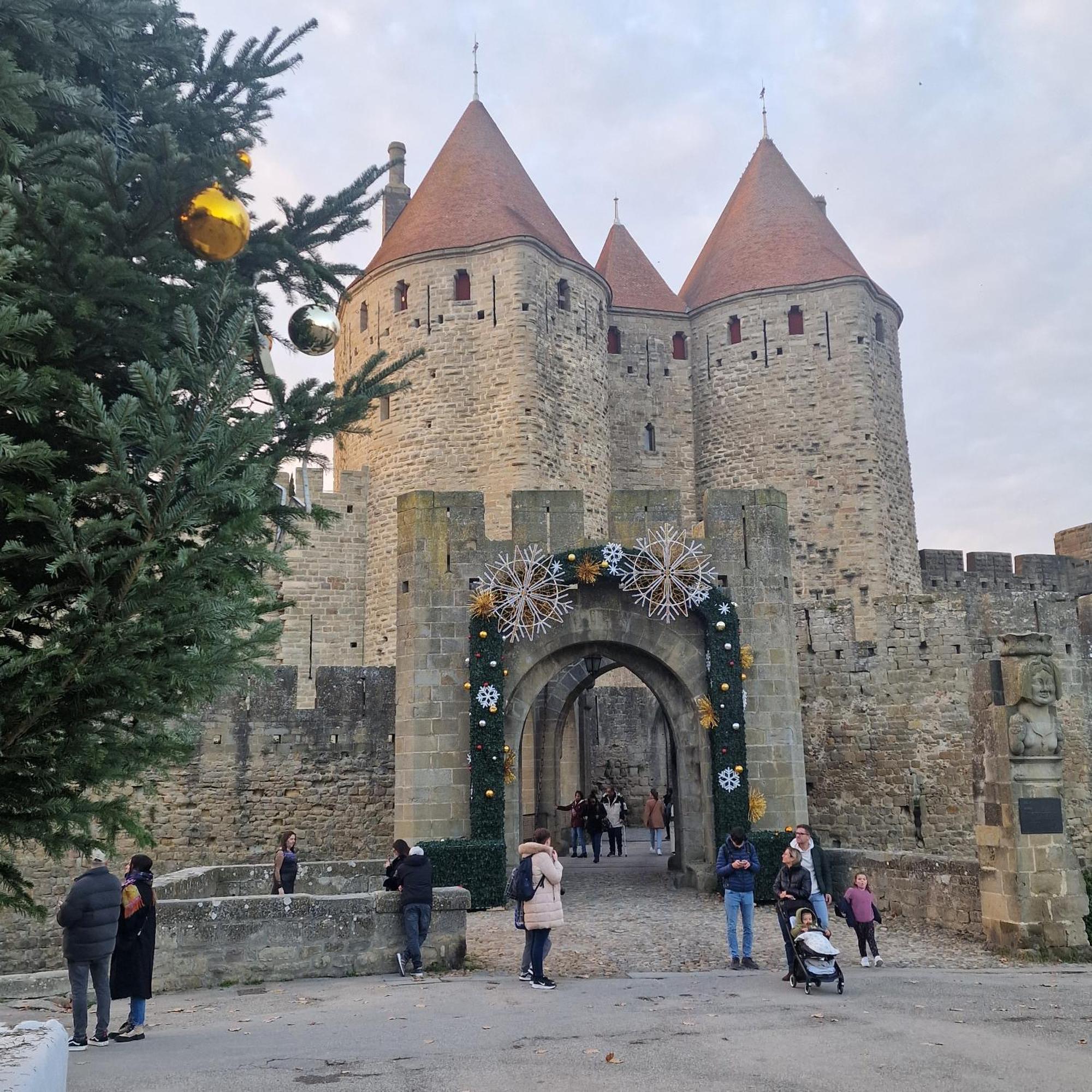 Face à la Cité une vue SUBLIME Carcassonne Exterior foto