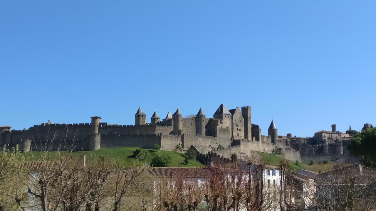 Face à la Cité une vue SUBLIME Carcassonne Exterior foto